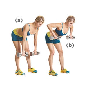 Bent over dumbbell rows