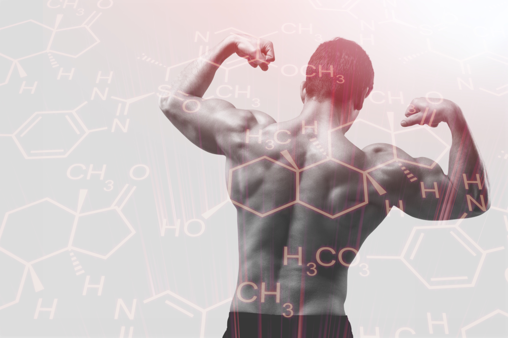 muscle man back